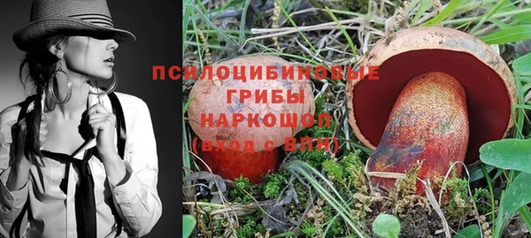 эйфоретик Алексин